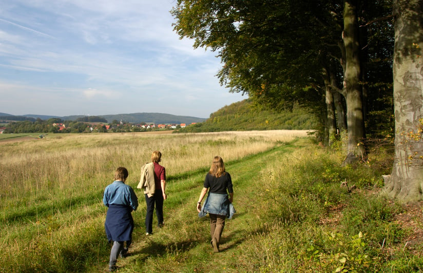 Walking in nature